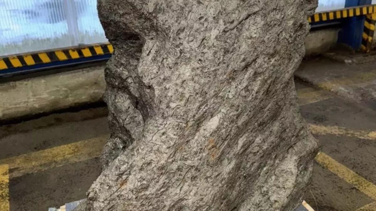 Rusia: Voiau să scoată din țară o bucată de meteorit prezentată drept …ornament de grădină : Europa FM