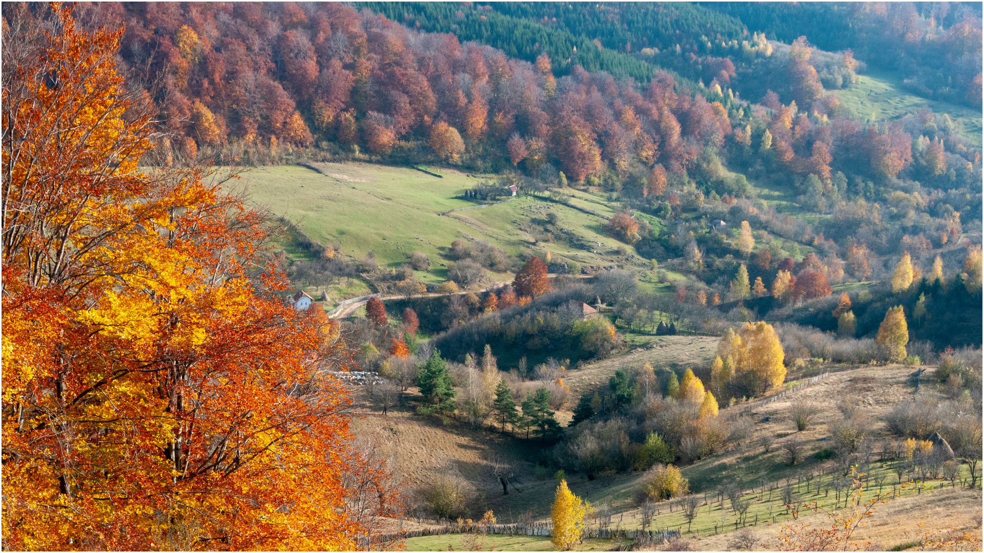 Geoparcuri UNESCO în România: Guvernul simplifică procedura