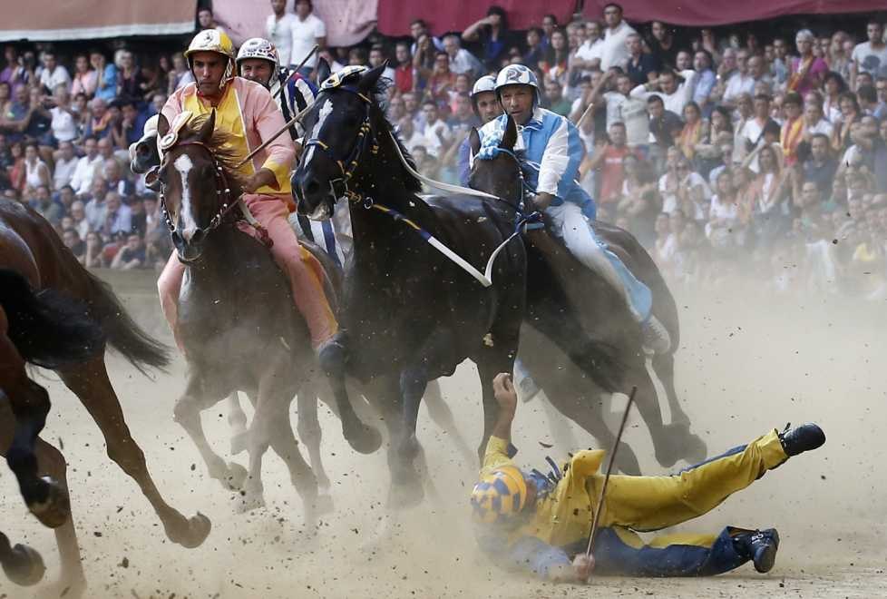 Clonarea cailor de elită câștigă teren și provoacă dezbateri în sporturile ecvestre: „Schimbă regulile jocului”