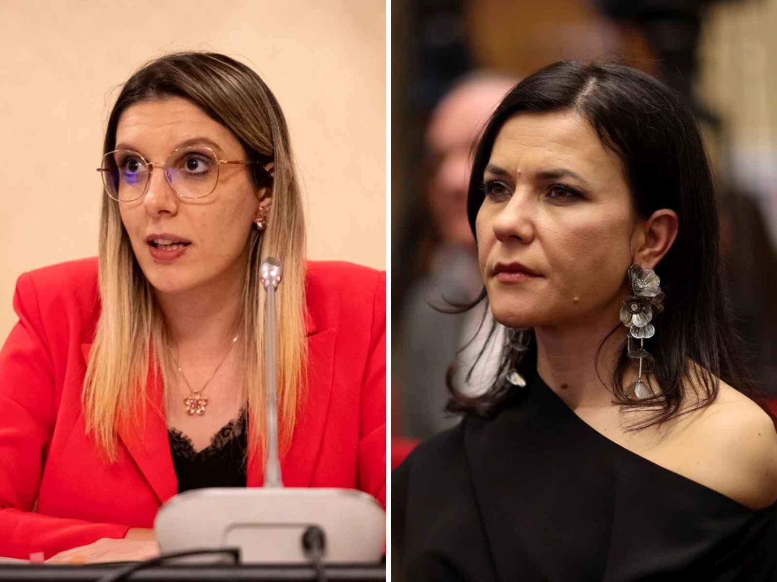 Diana Buzoianu spune că nu a fost primită în audiență de procurorul general. Parchetul General susține că nu a existat o astfel de cerere