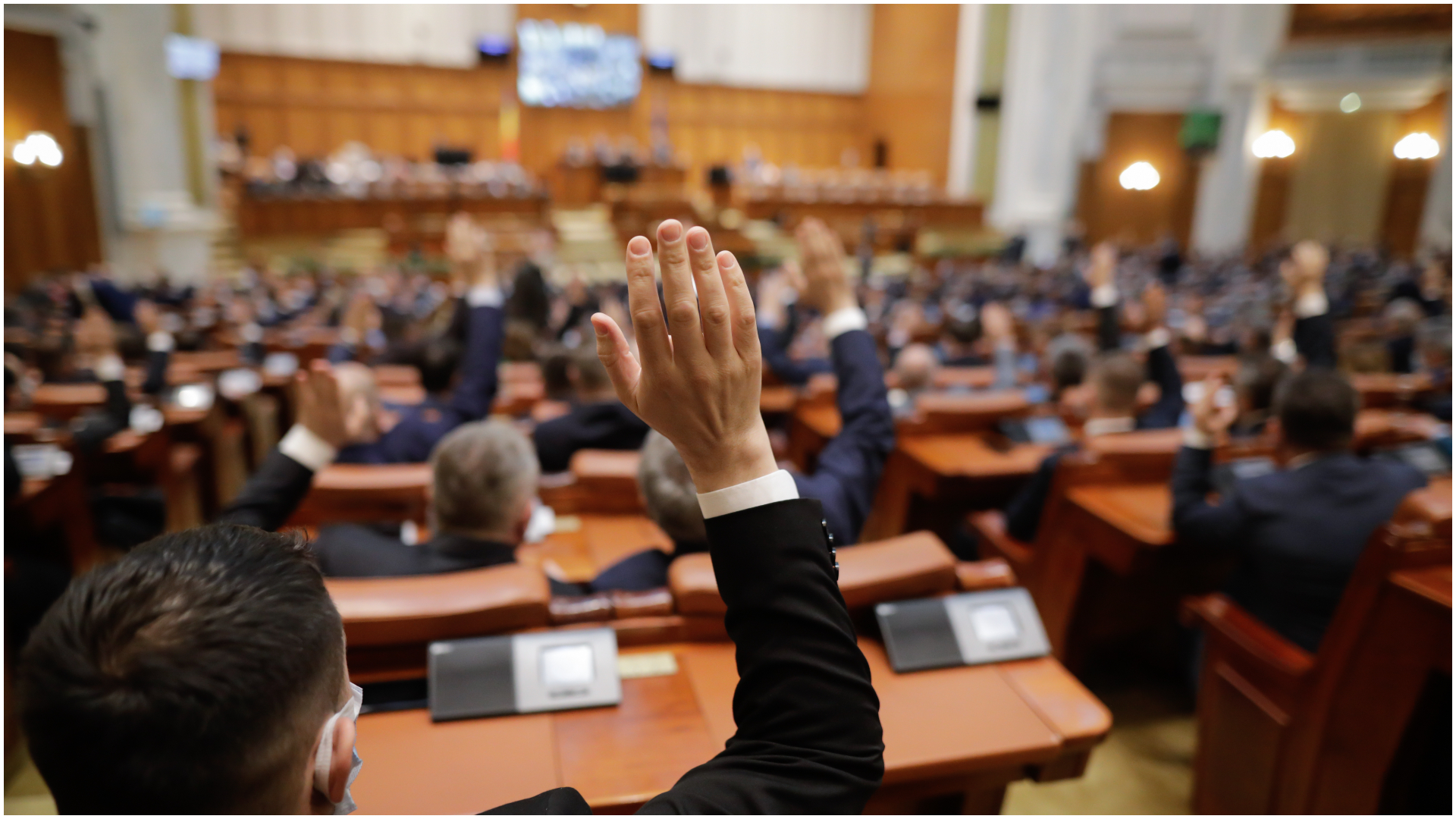 Camera Deputaților a adoptat Strategia națională pentru conservarea biodiversității