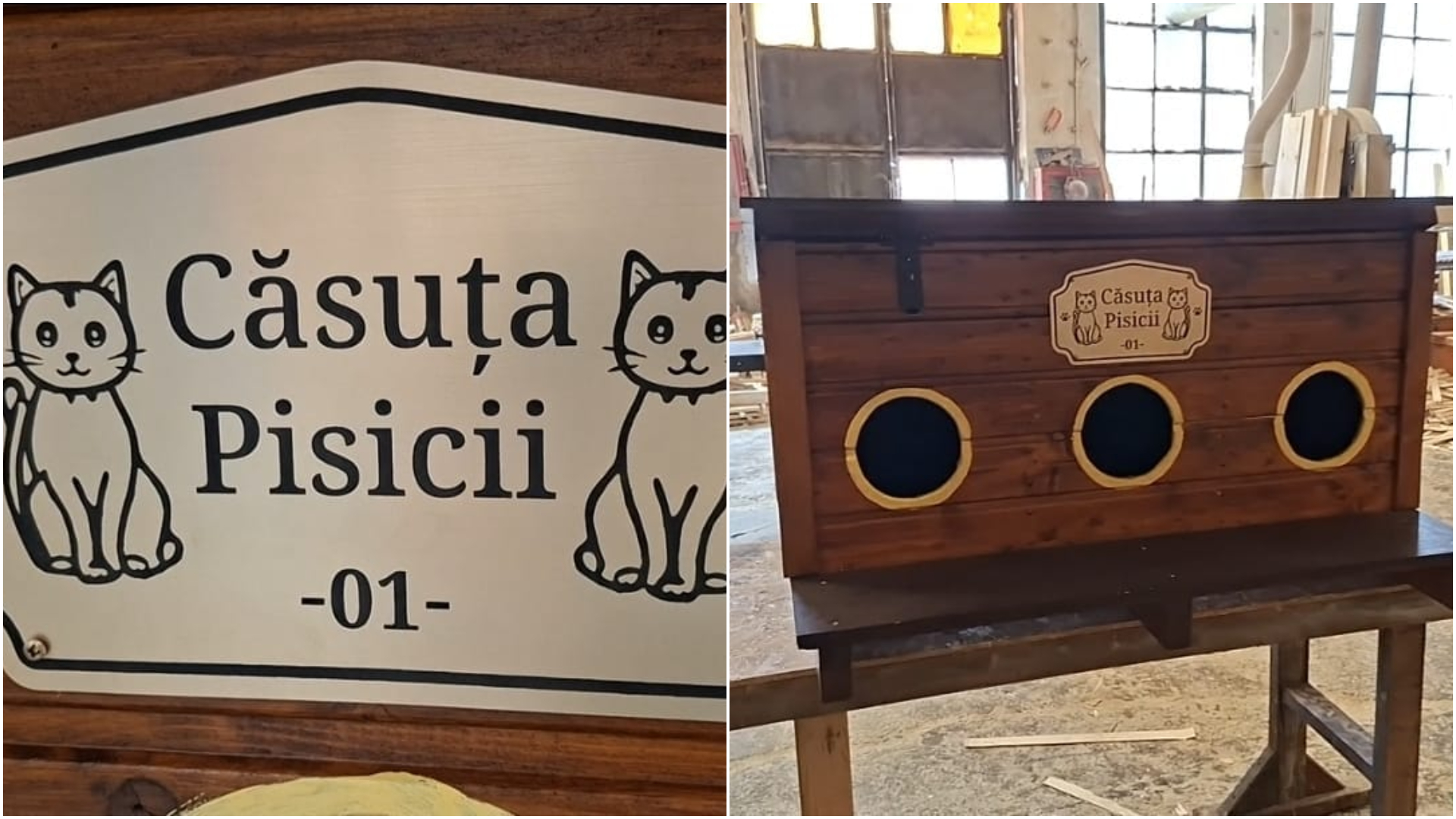 Căsuțe pentru pisicile comunitare din Arad, oferite gratuit